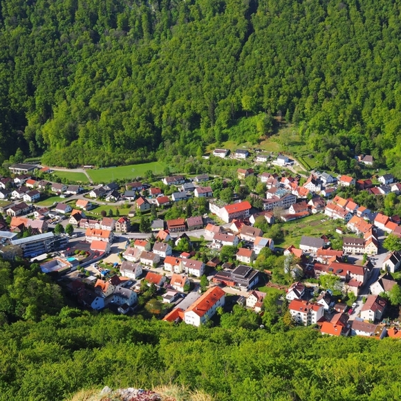 Profile - Picture 7 of 15